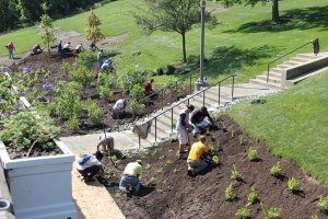 2012 – Although preparation was several years in the making, the rain garden near the Ludlow parking garage was installed in early 2012. As part of the storm water management project funded by the Metropolitan Sewer District, the gardens help to reduce rain water runoff, and is just one of many environmentally sustainable or “green” projects at Cincinnati State. 